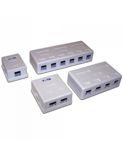 Настенная коробка 2 порта для Keystone TWT (TWT-SA2-WH) в Кемерово Модули Keystone Pintop.ru