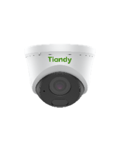 Уличная купольная IP-камера Tiandy TC-C32HN Spec:I3/E/Y/C/2.8mm/V4.2 в Кемерово IP-камеры Pintop.ru