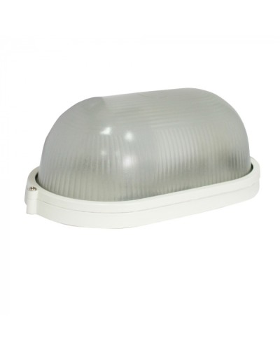 Светильник Бастион Skat LED-220 E27 IP54 в Кемерово Светильники Pintop.ru