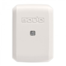 Модуль контроля линий Болид Рупор-300-МК