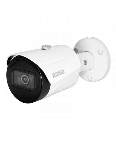 IP-камера видеонаблюдения в стандартном исполнении Болид VCI-122 в Кемерово IP-камеры Pintop.ru