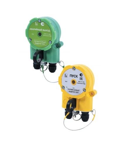 Извещатель Эрвист УДП 535 Халзан П АВАРИЙНЫЙ ВЫХОД -АМ в Кемерово Пожарные извещатели Pintop.ru