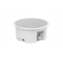 Потолочный громкоговоритель iFlow F-NA-203S