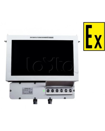 Монитор взрывозащищенный Компания СМД Орион МК М 19-С в Кемерово Дополнительное оборудование (Ex) Pintop.ru