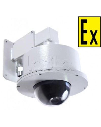 Видеокамера взрывозащищенная Компания СМД Орион МК PTZ- Н-220В в Кемерово Взрывозащищенные камеры Pintop.ru