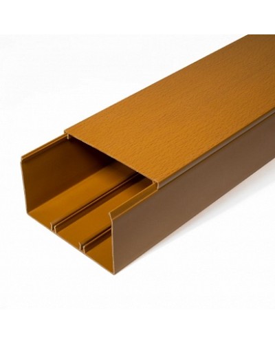 Кабель-канал бук 2-й замок 100х60 (16м/уп) Промрукав (PR.025447) в Кемерово Огнестойкие кабельные линии Pintop.ru