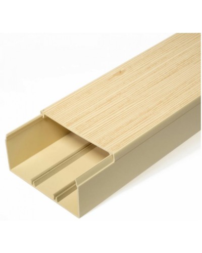 Кабель-канал сосна 2-й замок в п/э 100х60 (8 м/уп) Промрукав (PR03.0192) в Кемерово Кабель-канал Pintop.ru