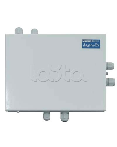 Блок расширения шлейфов сигнализации Риэлта БРШС-Ex в Кемерово Системы охраны взрывоопасных объектов Pintop.ru